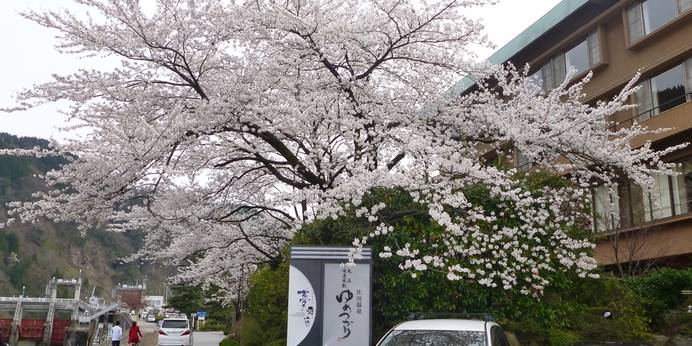 庄川温泉風流味道座敷 ゆめつづり（富山県 旅館） / 1