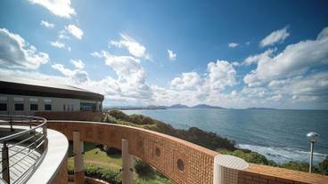 テラス / パティオ / 16