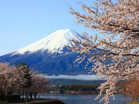 ガストホフ メラージ / 4