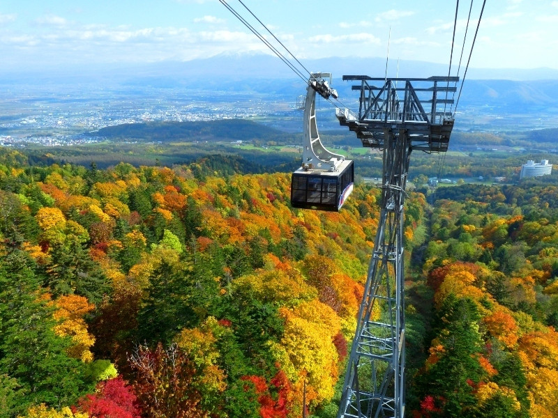 観光も楽しめる♩富良野の人気スポットが集まる老舗ホテル4288372