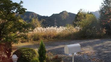 施設の敷地 / 13