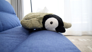 ベーシック ダブルルーム 禁煙 バルコニー