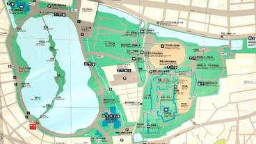 ランド ビュー / 10