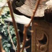 湯布院温泉 おやど花の湯（大分県 旅館） / 2