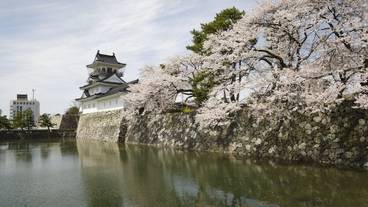 観光スポット / 3