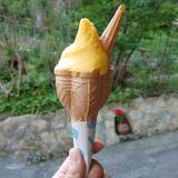 ジェラテリア ピッコロ ピッキオ（ジェラテリアピッコロピッキオ）