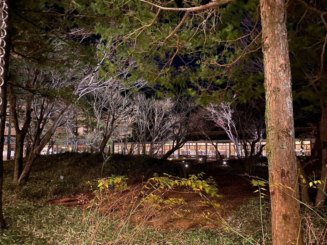 中庭からお食事何処を