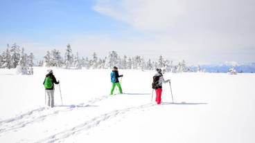 スノー スポーツとスキー / 15