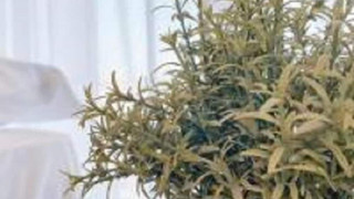 スタジオ バルコニー付 102号室