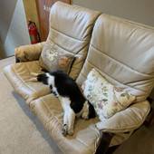 ふるさとの宿 花いち（群馬県 旅館） / 3