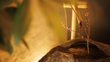 内装の詳細 / 13