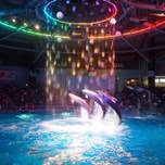 都心の癒し空間「マクセル アクアパーク品川」で、大人の水族館デート♡