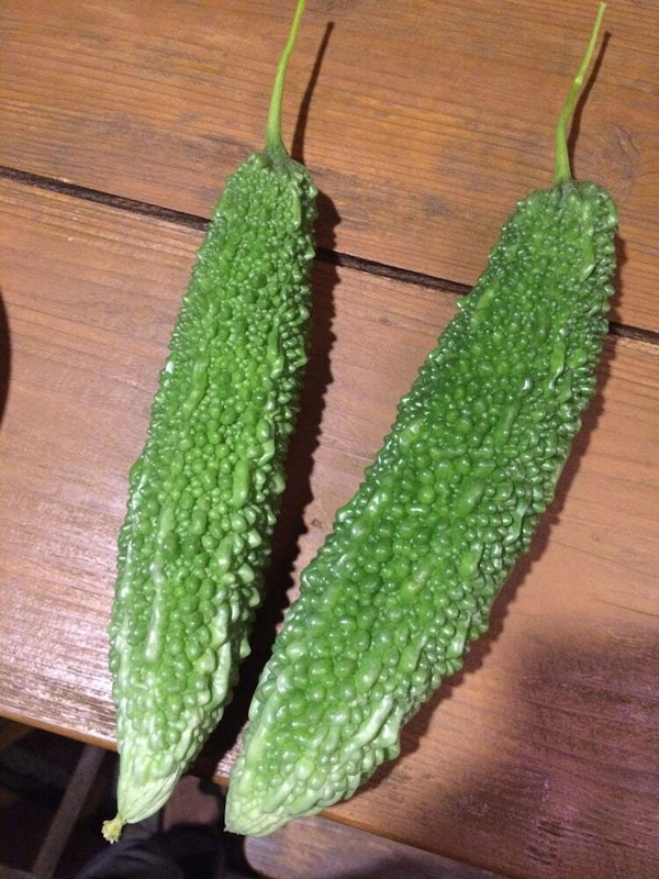 施設からの眺望