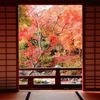 人混みを避けてゆるりと散策。嵐山の穴場おすすめ観光スポット10選／京都