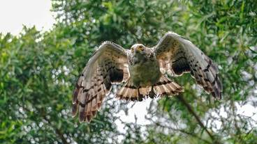 シティ ビュー / 29