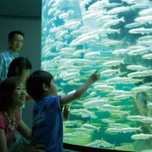 琵琶湖周辺の子連れにおすすめホテル・旅館11選。ファミリーで楽しもう！／滋賀