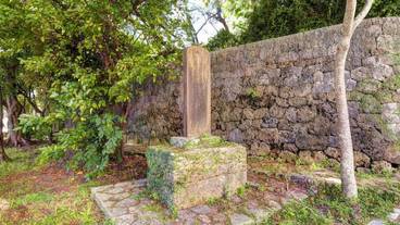 施設の敷地 / 25