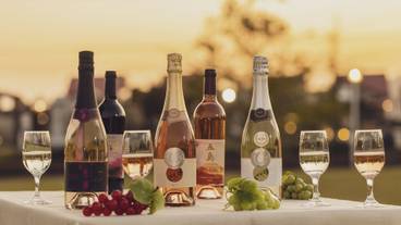 ワイナリー / 10