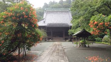 観光スポット / 4