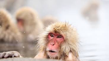 観光スポット / 11