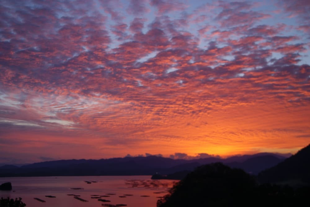 施設からの眺望