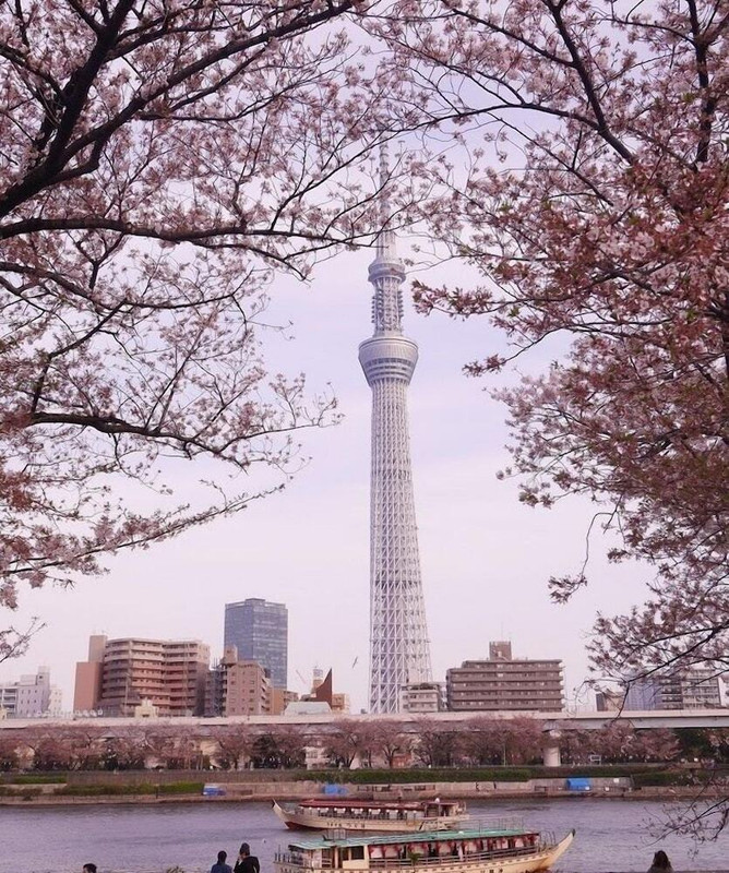 観光スポット