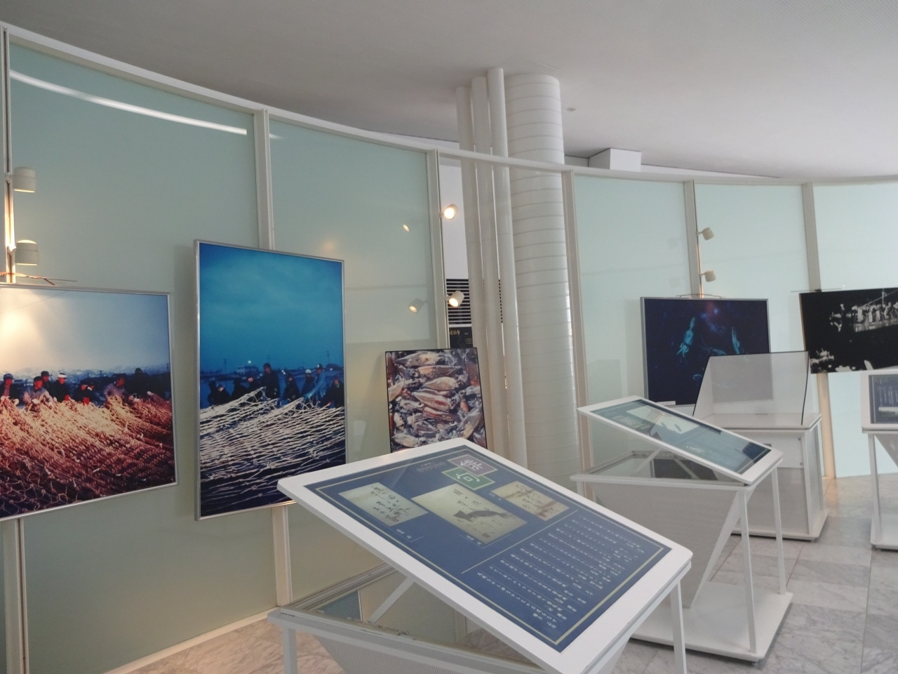 見て、触れて、学んで、食べて。ホタルイカのことがわかる体験スポット4230416