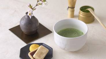 客室の設備とサービス / 31