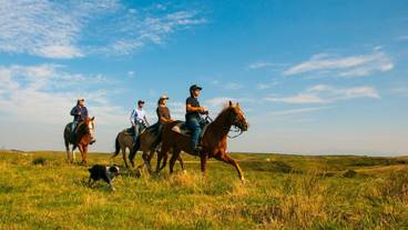 スポーツ設備 / 2