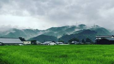 施設の敷地 / 11