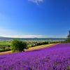 2人で過ごす贅沢なひと時。カップルで泊まりたい北海道のおすすめホテル11選