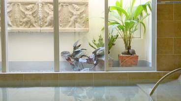 屋内スパ浴槽 / 1