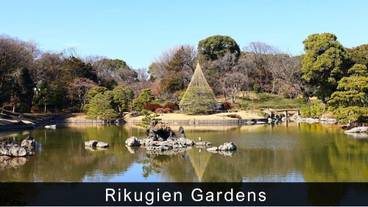 シティ ビュー / 9