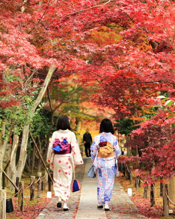 嵐山は女子旅にぴったりな魅力がいっぱい♩3983228