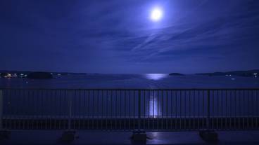 屋上テラス / 25