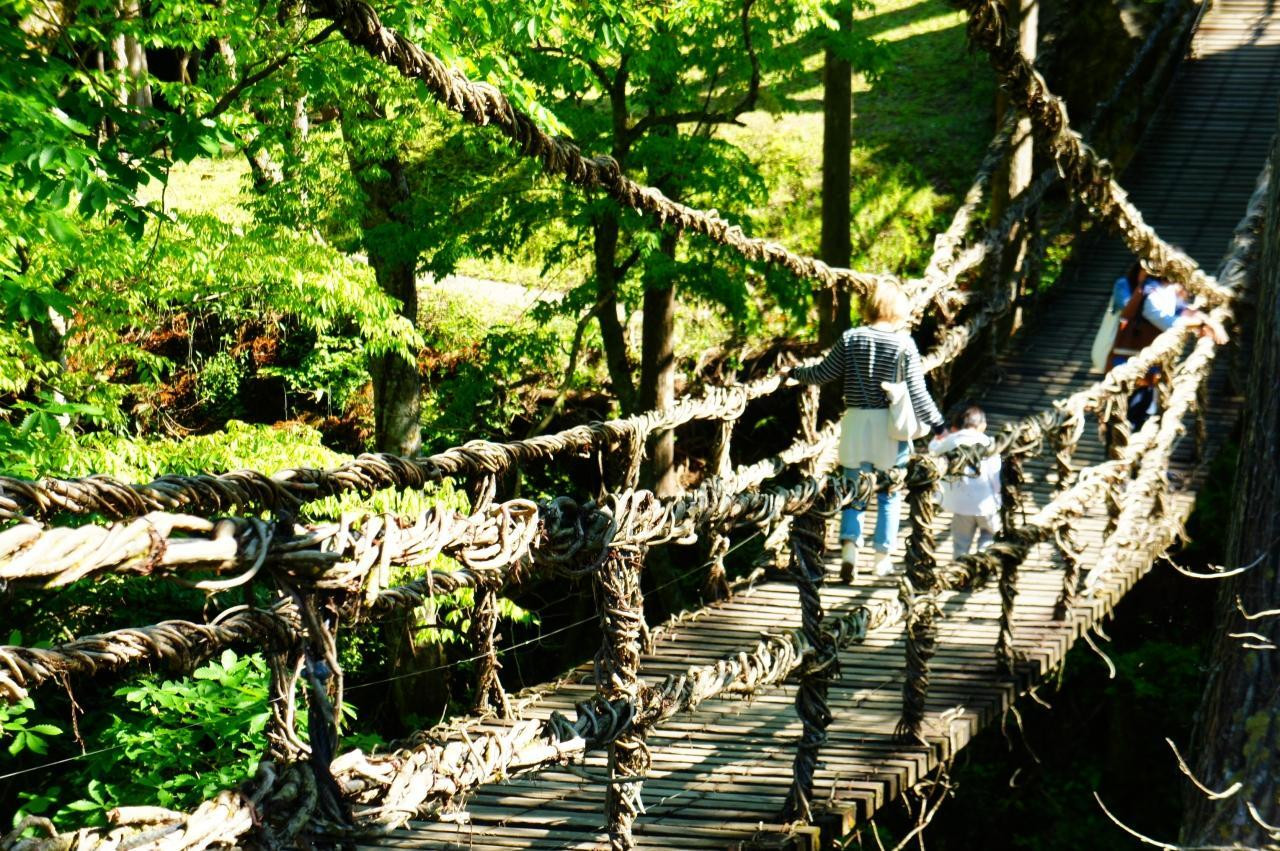 【福井県】知る人ぞ知る奥越前の名橋「池田かずら橋」462267