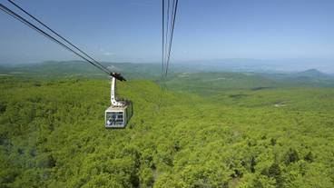 観光スポット / 5