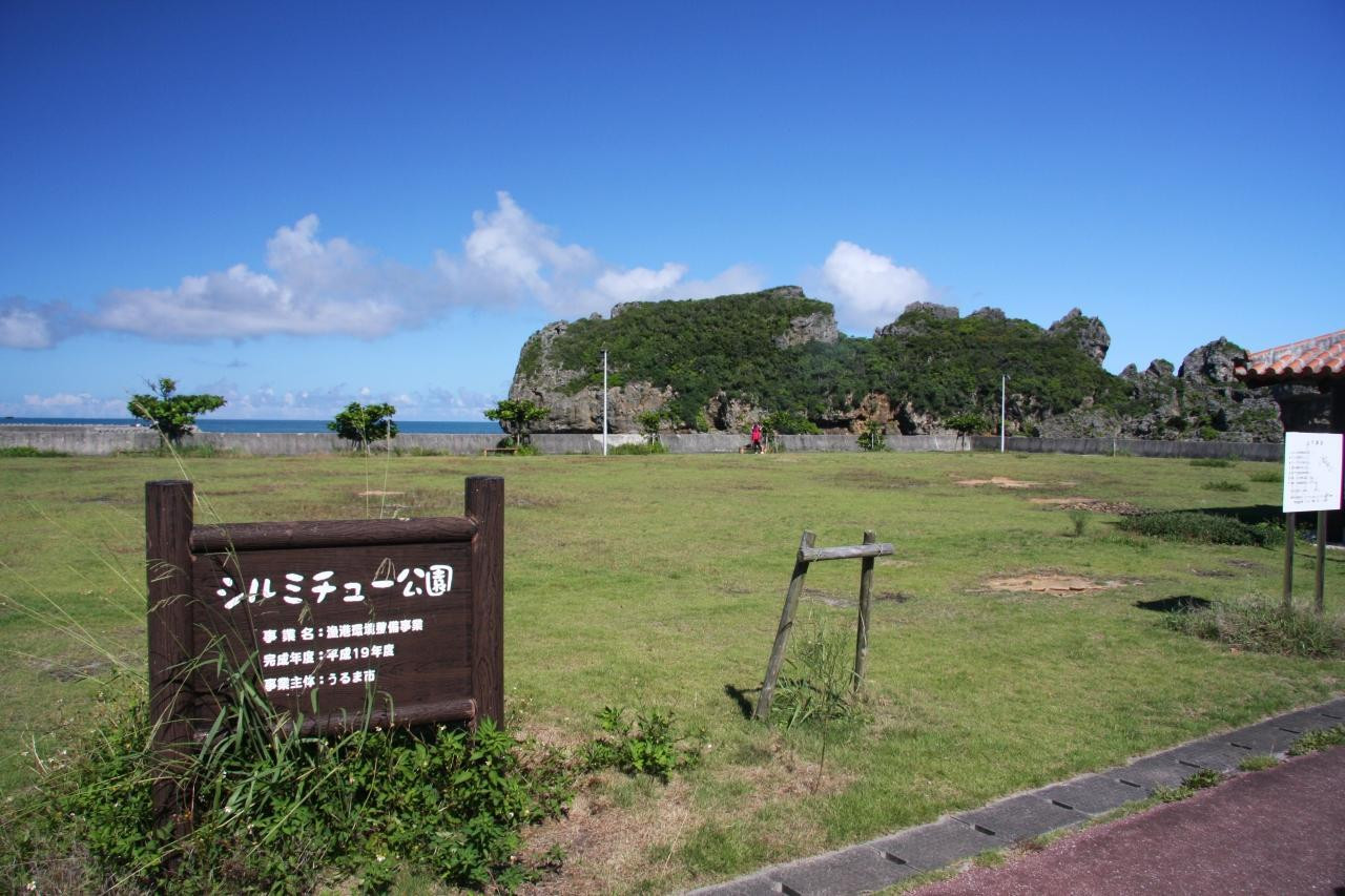 1.シルミチュー988994
