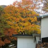 温泉民宿 栄弥（岩手県 旅館） / 3