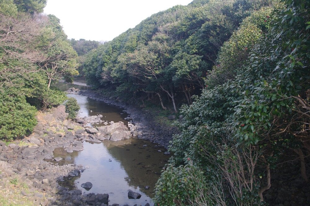 施設からの眺望