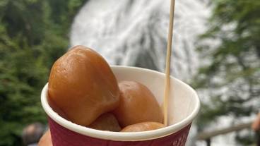 観光スポット / 21