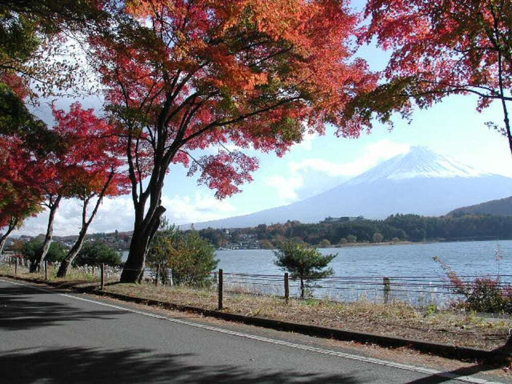 施設からの眺望