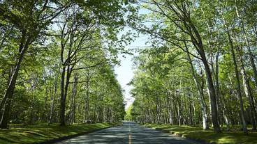 施設からの眺望 / 17