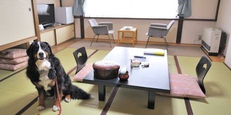 蔵王温泉 最上高湯 善七乃湯（旧：蔵王温泉 大平ホテル）