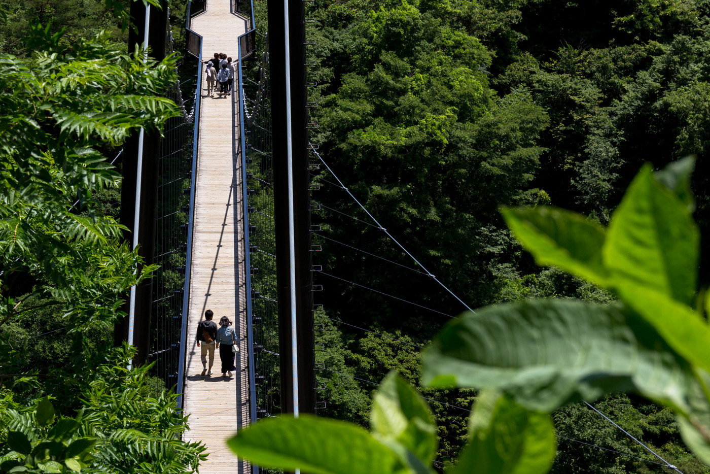 栃木県日光市 鬼怒楯岩大吊橋(6月)