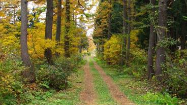 ランド ビュー / 13