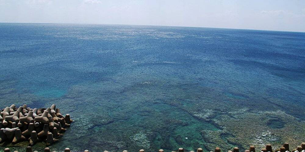 ビーチ / オーシャン ビュー