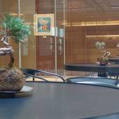 リッチモンドホテル東京芝（東京都 ビジネスホテル） / 5