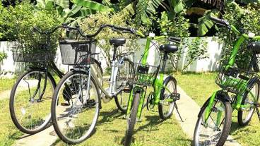 施設の敷地 / 15