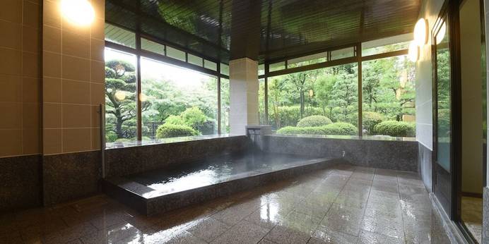 下呂温泉 ゆらぎの里 ひだ山荘（岐阜県 旅館） / 1